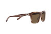 Солнцезащитные очки Ralph Lauren RL 8203QU (602073)