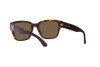 Солнцезащитные очки Ralph Lauren RL 8205 (500373)