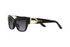 Occhiali da Sole Ralph Lauren RL 8206U (50018G)