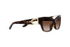 Occhiali da Sole Ralph Lauren RL 8206U (500313)