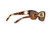 Солнцезащитные очки Ralph Lauren RL 8206U (530373)