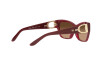 Солнцезащитные очки Ralph Lauren RL 8206U (591274)