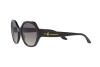 Zonnebril Ralph Lauren RL 8208 (5001V6)