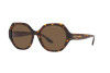 Солнцезащитные очки Ralph Lauren RL 8208 (500373)