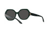 Sonnenbrille Ralph Lauren RL 8208 (542187)