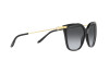 Sonnenbrille Ralph Lauren RL 8209 (5001T3)