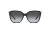 Солнцезащитные очки Ralph Lauren RL 8209 (5001T3)