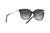 Sonnenbrille Ralph Lauren RL 8209 (5001T3)