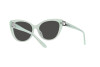 Солнцезащитные очки Ralph Lauren RL 8215BU (608287)