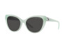 Солнцезащитные очки Ralph Lauren RL 8215BU (608287)