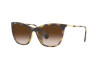 Sunglasses Ralph RA 5289 (50033B)