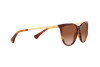 Lunettes de soleil Ralph RA 5290 (601113)