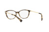 Lunettes de vue Ralph RA 7114 (5003)