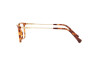 Brille Ralph RA 7124 (5885)