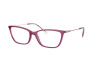 Brille Ralph RA 7124 (5917)