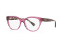 Brille Ralph RA 7141 (6008)