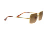 Sunglasses Ray-Ban Rectangle RB 1969 (9147M2)