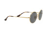 Sunglasses Ray-Ban Oval RB 1970 (9150B1)