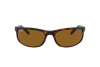 Lunettes de soleil Ray-Ban Predator RB 2027 (650833)