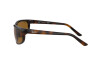 Lunettes de soleil Ray-Ban Predator RB 2027 (650833)