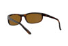 Lunettes de soleil Ray-Ban Predator RB 2027 (650833)