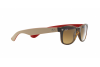 Occhiali da Sole Ray-Ban New Wayfarer RB 2132 (618185)