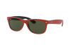 Sunglasses Ray-Ban New wayfarer RB 2132 (646631)