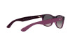 Sunglasses Ray-Ban New Wayfarer RB 2132 (6606M3)