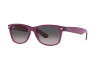 Occhiali da Sole Ray-Ban New Wayfarer RB 2132 (6606M3)