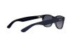 Sunglasses Ray-Ban New Wayfarer RB 2132 (660778)