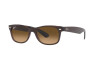 Sunglasses Ray-Ban New Wayfarer RB 2132 (6608M2)