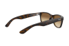 Sunglasses Ray-Ban New Wayfarer RB 2132 (710/51)