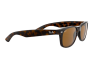 Occhiali da Sole Ray-Ban New Wayfarer RB 2132 (710)