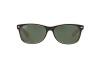 Sunglasses Ray-Ban New Wayfarer Color Mix RB 2132 (875)