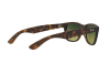 Sunglasses Ray-Ban New Wayfarer RB 2132 (894/76)