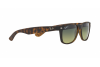 Sunglasses Ray-Ban New Wayfarer RB 2132 (894/76)