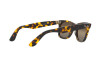Солнцезащитные очки Ray-Ban Wayfarer RB 2140 (1332G5)
