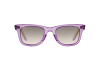 Occhiali da Sole Ray-Ban Wayfarer RB 2140 (605632)