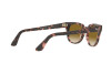 Occhiali da Sole Ray-Ban Meteor RB 2168 (133451)