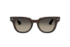 Lunettes de soleil Ray-Ban Meteor RB 2168 (902/32)