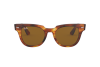 Sunglasses Ray-Ban Meteor RB 2168 (954/33)