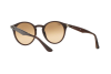 Sunglasses Ray-Ban RB 2180 (62313D)