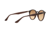 Солнцезащитные очки Ray-Ban RB 2180 (62313D)