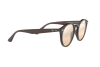Sunglasses Ray-Ban RB 2180 (62313D)
