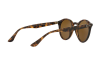 Sunglasses Ray-Ban RB 2180 (710/73)