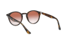Солнцезащитные очки Ray-Ban RB 2180 (710/V0)