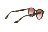 Lunettes de soleil Ray-Ban RB 2180 (710/V0)