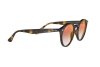 Lunettes de soleil Ray-Ban RB 2180 (710/V0)