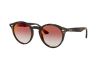 Lunettes de soleil Ray-Ban RB 2180 (710/V0)