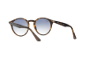 Occhiali da Sole Ray-Ban RB 2180 (710/X0)